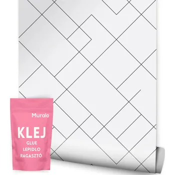 Tapeta Tapeta Muralo Černobílá geometrická tapeta