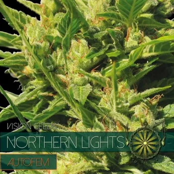 Pěstitelství Vision seeds Northern Lights AUTO Počet ks Feminizované: 3+1