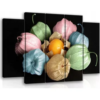 Obraz OBRAZ NA PLÁTNĚ CANVAS 150x100 MOCHYNĚ PHYSALIS