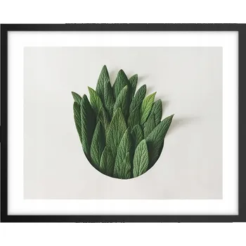 Obraz Foto obraz plakát na zeď v černém rámu 50x40 šalvěj plakáty do obývacího pokoje