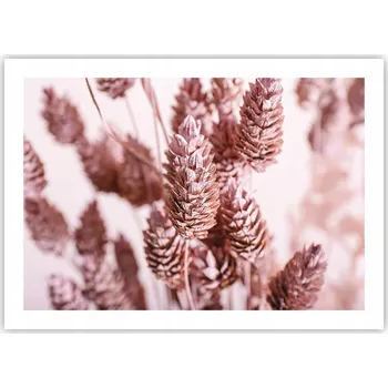 Obraz Plakát bez rámu do obýváku ložnice 70x50 květiny sušené moderní módní obraz