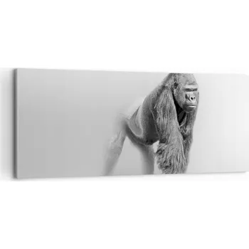 Obraz Foto obraz na plátně 100x40 zvířata obývací pokoj ložnice na zeď velký