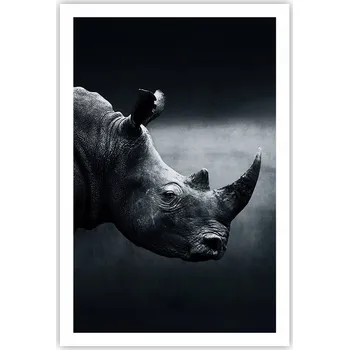 Obraz Obraz plakát do obýváku ložnice 61x91 Nosorožec plakáty na zeď bez rámu