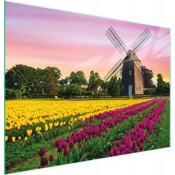 Kuchyňské prkénko Krájecí deska TMK ArtDeko sklo 1 ks