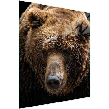 Kuchyňské prkénko Krájecí deska TMK ArtDeko sklo 1 ks