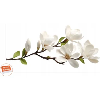 Samolepící dekorace Samolepky samolepka na stěnu do obýváku, dětského pokoje, bílé květy