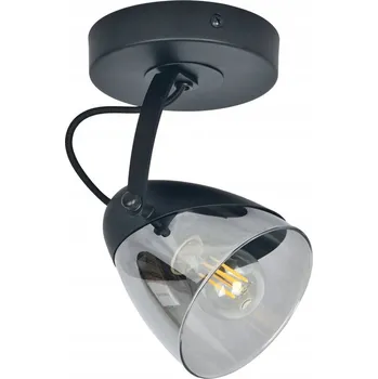 Nástěnné svítidlo Nástěnné svítidlo Tryton 1 černé