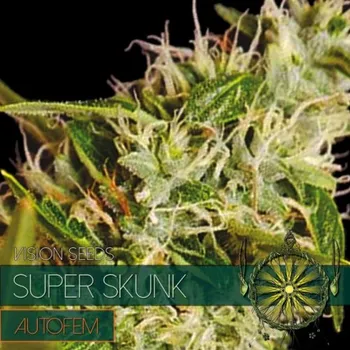 Pěstitelství Vision seeds Super Skunk AUTO Počet ks Feminizované: 3+1