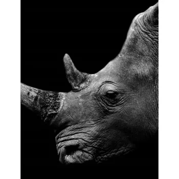 Kuchyňské prkénko Skleněná Ochranná Deska a Krájecí Prkénko | Indukce, Sporák ds-0136