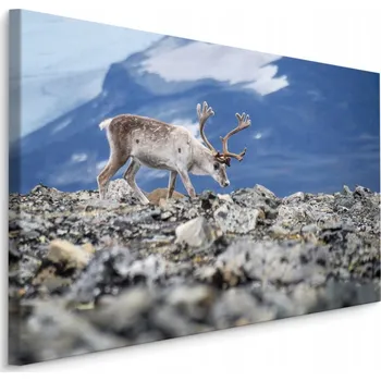 Obraz 3D obraz na plátně s krajinou SOB v horách, 70x50