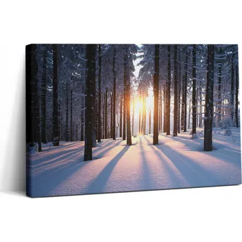 Obraz Fotoobraz na plátně do ložnice Snadná montáž Západ slunce a les v zimě 30x20