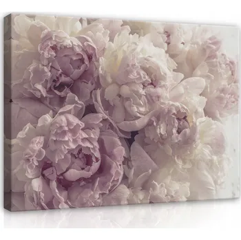 Obraz OBRAZ NA PLÁTNĚ NA ZEĎ KVĚTINY PIVOŇKY DO LOŽNICE OBÝVÁKU MODERNÍ 100x70