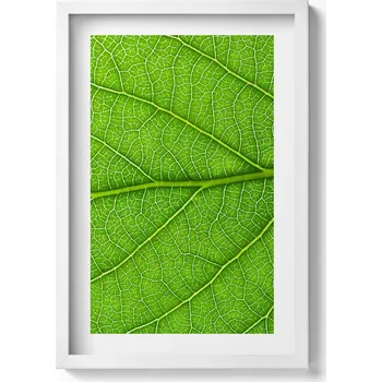 Obraz Dekorativní nástěnný obraz s rámem a grafikou loft Žilky zeleného listu 40x60 cm
