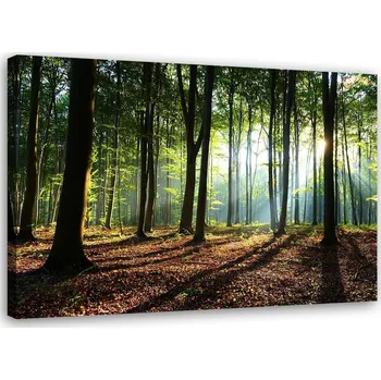 Obraz Obraz na plátně - Plátno, Les za východu slunce