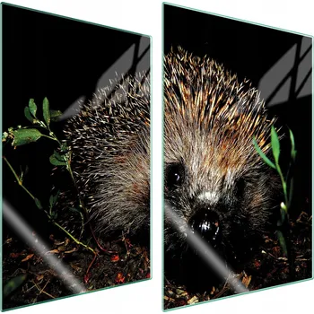 Obraz Krájecí deska TMK ArtDeko sklo 2 ks