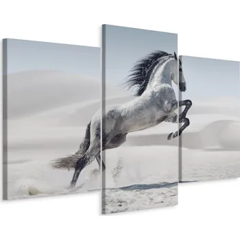 Obraz Obraz Triptych KŮŇ Zvíře Poušť Příroda 120x80