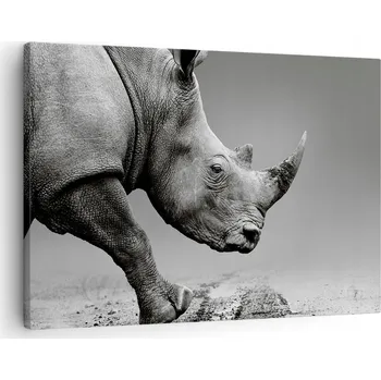 Obraz Obraz na plátně do obýváku ložnice 70x50 nosorožec foto obrazy na zeď