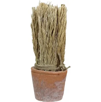 umělá květina SUŠENÝ RÁKOS v terakotové květináči, výška 27 cm