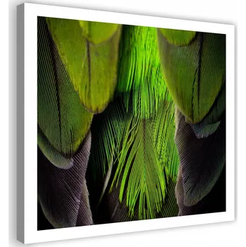 Obraz Obraz na plátně - Canvas, Zelená pírka 60x60