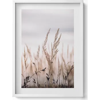 Obraz Elegantní obraz do obýváku Boho romantická krajina jemných trav 50x70 cm