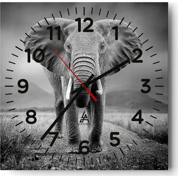 Hodiny Kuchyňské nástěnné hodiny 30x30 Slon Skleněné hodiny do obýváku Moderní Tiché