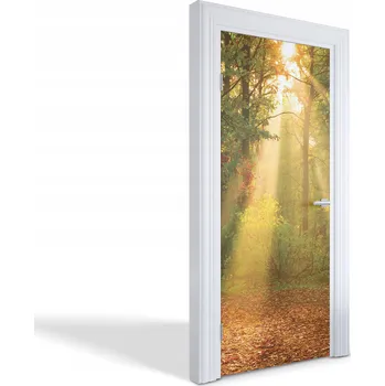 Fototapeta Samolepka samolepící dekorace na dveře a nábytek Ráno v lese 85x205 cm