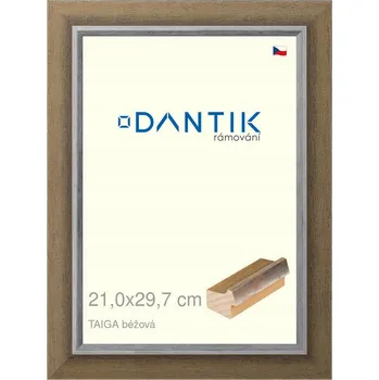 Obraz Rámeček na jednu fotografii DANTIK 29,7 x 21 cm