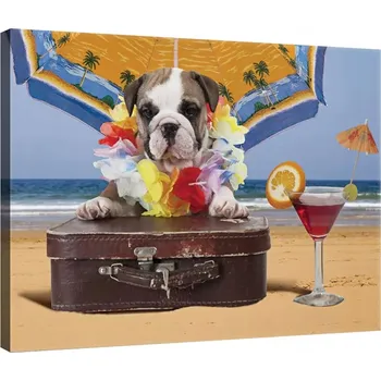 Obraz OBRAZ NA PLÁTNĚ CANVAS 80x60 PES PLÁŽ LÉTO