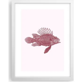 Obraz Obraz plakát v bílém rámu do obýváku 30x40 ryba foto plakáty na zeď