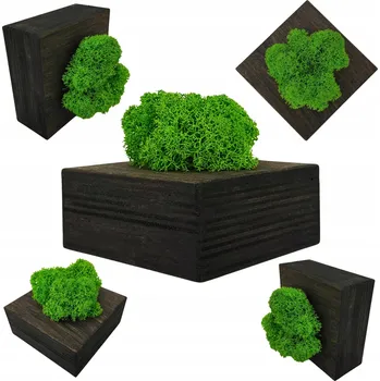 Obraz Dekorace z mechového chrobotka ve tvaru kostky z vrstveného olejovaného dřeva