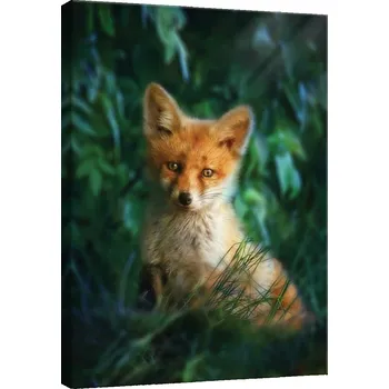 Obraz OBRAZ NA PLÁTNĚ CANVAS 60x80 ZRZAVÁ LIŠKA LIŠKA