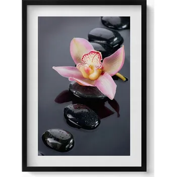 Obraz Dekorativní nástěnný obraz do pokoje Květina na kamenech ve vodě 50x70 cm
