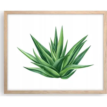 Obraz Obraz plakát na zeď v rámu světlý dub 50x40 rostlina foto do obýváku