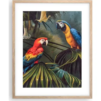 Obraz Obraz plakát na zeď v rámu světlý dub 40x50 papoušek ara plakáty do obýváku