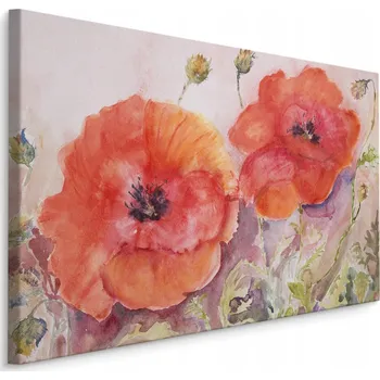 Obraz Obraz Máky jako namalované 70x50 /102130425