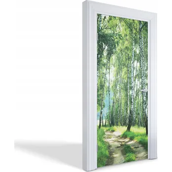 Fototapeta Samolepící fototapeta na dveře nebo skříň Březový les 95x205 cm