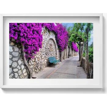 Obraz Stylový obraz v bílém rámu Cesta s květinami na Capri v Itálii 70x50 cm