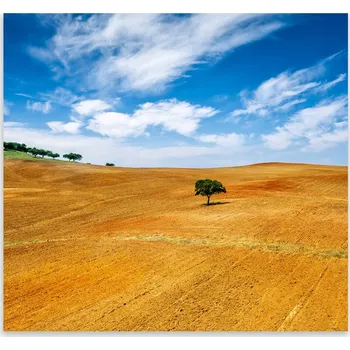 Kuchyňské prkénko Skleněná Ochranná Deska a Krájecí Prkénko | Indukce, Sporák ds-0137