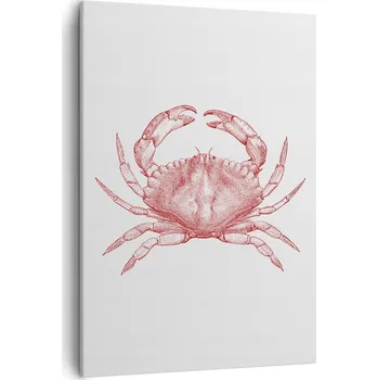 Obraz Obraz na plátně do obýváku, ložnice 50x70 krab foto obrazy na zeď canvas