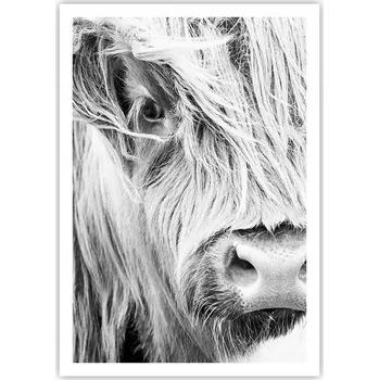 Obraz Plakát na zeď bez rámu 70x100 kráva obraz plakáty do obývacího pokoje ložnice