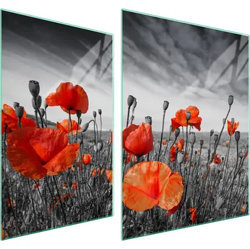 Obraz Krájecí deska TMK ArtDeko sklo 2 ks