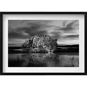 Obraz Stylový obraz v černém rámu Černobílý leopard divoké zvíře 70x50 cm