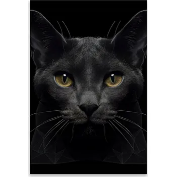 Kuchyňské prkénko Skleněná Ochranná Deska a Krájecí Prkénko | Indukce, Sporák ds-0304