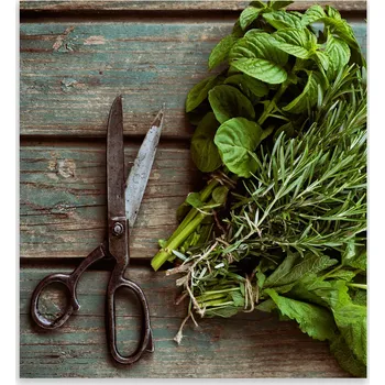 Kuchyňské prkénko Skleněná Ochranná Deska a Krájecí Prkénko | Indukce, Sporák ds-0379