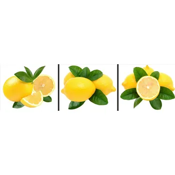 Obraz Dekorativní Samolepky Intergrafika 34x124 cm