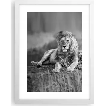 Obraz Obraz plakát v bílém rámu do obýváku 30x40 lev foto plakáty na zeď
