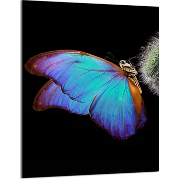 Kuchyňské prkénko Krájecí deska TMK ArtDeko sklo 1 ks