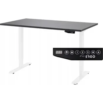 Psací stůl Obdélníkový psací stůl ProErgo 138 x 80 x 119 cm bílý