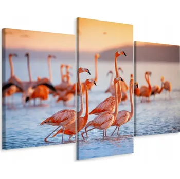 Obraz Obraz Tryptych PLAMEŇÁCI Ptáci Krajina 3D 90x60