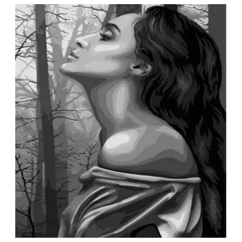 Obraz Obraz MALOVÁNÍ PODLE ČÍSEL Pampicio RÁM 50x40 Žena Obličej Ženy